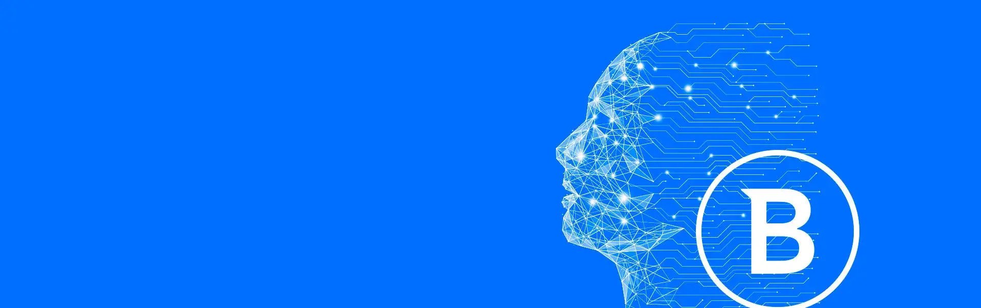 splitter-banner-02 splitter-banner-02